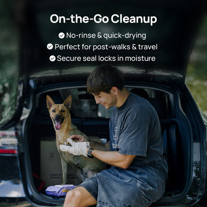 Deodorizing Glove Wipes for Dogs & Cats - Waterless Bath Alternative